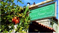 Taverna sign