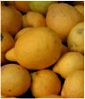 Lemons
