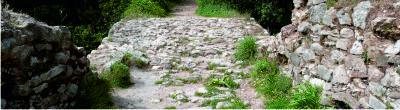 Stomio bridge
