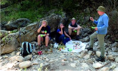Picnic below the bridge