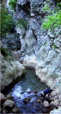 Sunless gorge